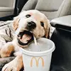 Hazel Cabrera - @its.hazel.cabrera - TikTok