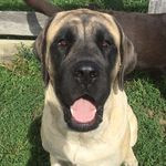 @wyeth_callahan_hazel - Instagram