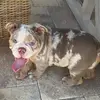 Hazel Camacho - @hazelcamacho - TikTok