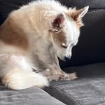 Hazel carlson - @hazelcarlson29 - Instagram