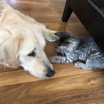 Hazel Carlson - @hazelandgusandalaska_carlson - Instagram