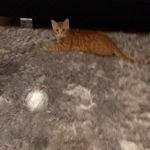 carmack - @hazel.jvcyoyxka_87393 - Instagram