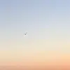 Hazel - @hazel.carrolll - TikTok