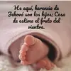 user9094972159469 - @hazelcasanova2 - TikTok