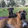 Hazel Casey - @hazel.casey4 - TikTok