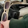 Hazel - @hazelcasey4 - TikTok