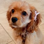 Hazelnut Casey - @hazelnut.casey - Instagram