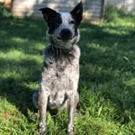 Casper & Hazel - @casperandhazel - Instagram