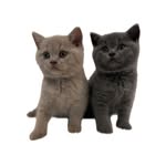 @hazelandcasper - Instagram