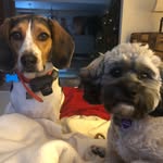 HazelCasperson - @hazel.casperson - Instagram