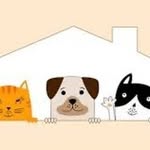 hazel&dodo&casper - @thethreebabs - Instagram
