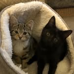Hazel/Mumford/Casper - @whatsup_hazel - Instagram