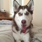 Shiloh Hazel Chambers - @shiloh_hazel - Instagram