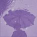 Hazel Chastain - Facebook