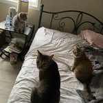Hazel Dean & Chester Mcgester - @hazeandchester - Instagram