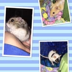 Hazel.Chester.Oscar - @hazel.chester.oscar - Instagram