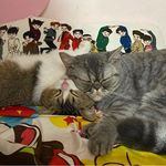 栗子&榛子 - @chestnut__hazelnut - Instagram