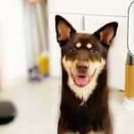 Hazel - @hazelischestnut - Instagram
