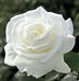 Hazel Childs - Facebook