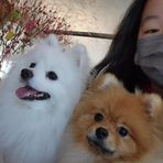 Hazel Chiu - Facebook