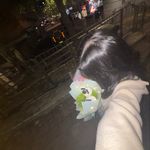 H~ /•᷅•᷄\୭ - @hazelchong25 - Instagram