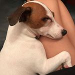 Hazel Chong - @hazel.c0327 - Instagram