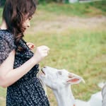 Hazel Chu - @hazelcsm - Instagram