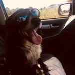 Hazel Church - @hazel_church_ - Instagram