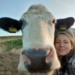 Hazel Clements 🐄👩🏻‍🌾🌾 - @blue_x_cow_life - Instagram