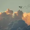 𝙷𝚊𝚣𝚎𝚕𝙲𝚕𝚘𝚞𝚍 - @.hazelclouds - TikTok