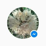hazelcoetzee - @hazelcoetzee9 - Instagram