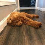 Hazel Conklin & Oliver Potts - @hazy.and.ollie - Instagram