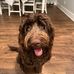 Connor Hazel - Facebook