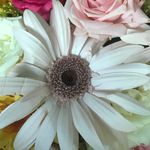 Hazel Connor - @hazelconnor_10 - Instagram