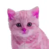 Hazel O'Connor - @hazel.oconnor274 - TikTok