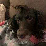 Hazel❤️ - @hazelnut_conroy - Instagram
