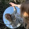 hazel.cookes - @hazel.cookes - TikTok