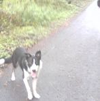 Hazel Coombs - Facebook