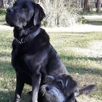 Hazel Cotton - @hcotton1949 - Instagram
