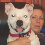 Gill Hazel Crane - @wildcatgill1338 - Instagram