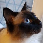 Hazel Crane - @hazel.crane.5059 - Instagram