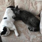 Hazel Crane-Bodiam - @cranebodiam - Instagram