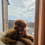 Hazel Cross - @hazeyjc - Instagram