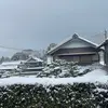 mylytary2 - @hazelcross2 - TikTok