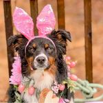 Hazel Crowley - @hazelcrowley67 - Instagram