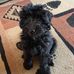 Becky Hazel Crum - Facebook