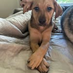 hazel - @hazelculverrrr - Instagram