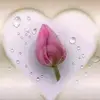 Hazel Cummins - @hazelcummins388 - TikTok
