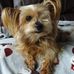 Hazel Cunningham - Facebook