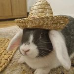 Hazel Cunningham - @hazel.jpeg - Instagram
